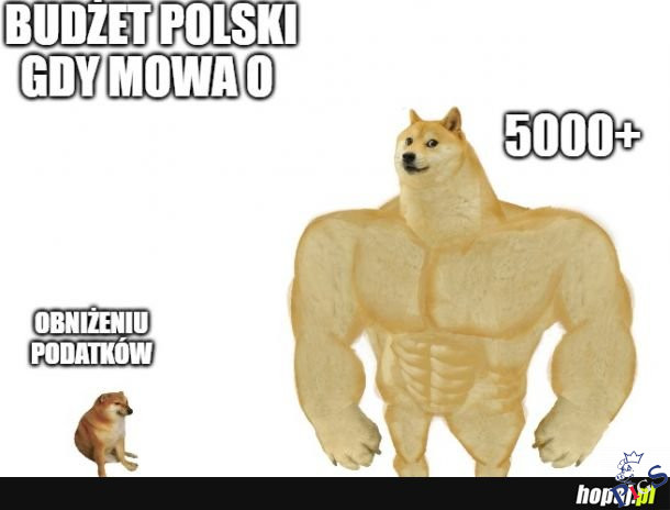 5000+