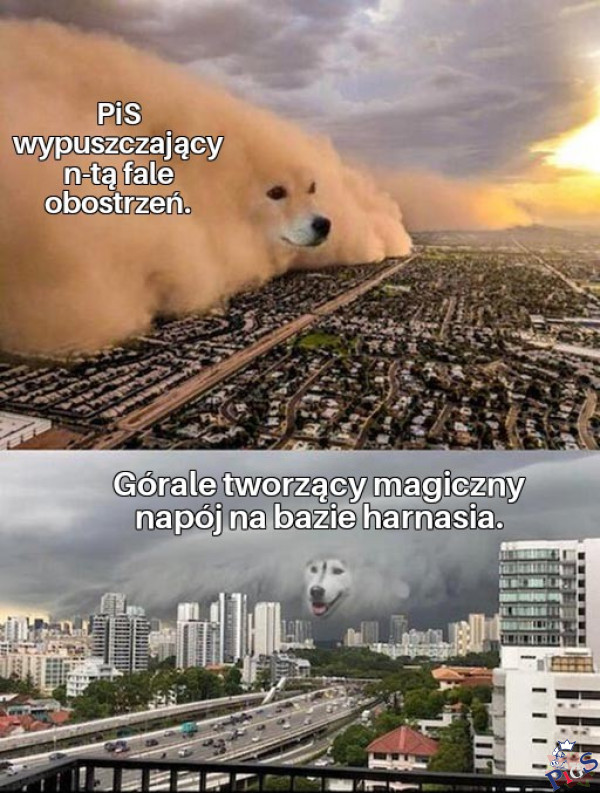 Górale vs. PiS