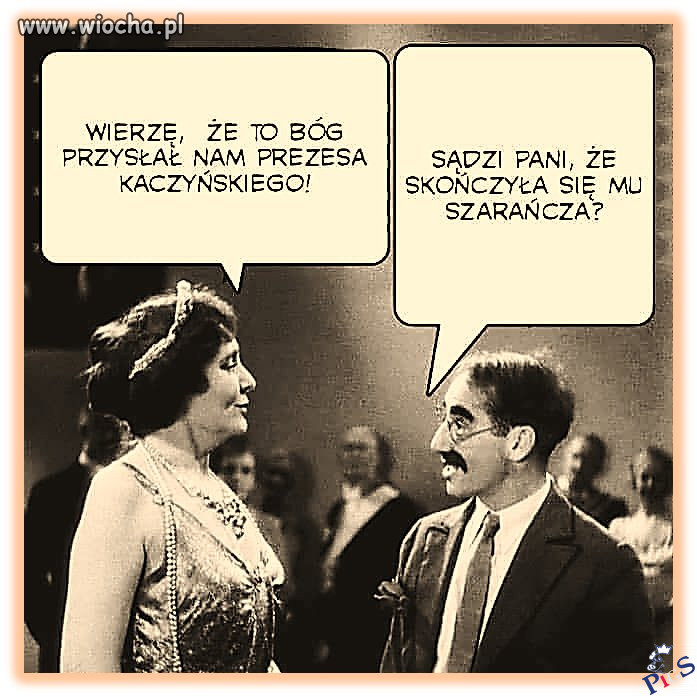 Jaki kraj taka plaga