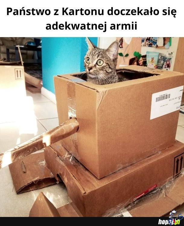 Państwo z kartonu doczekało się adekwatnej armii