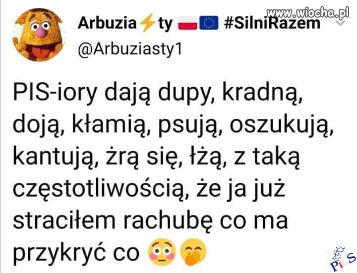 Pisiory sie kłócą