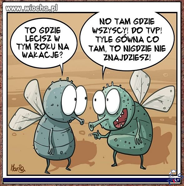 TVGówno