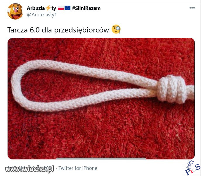 Tarcza 6.0
