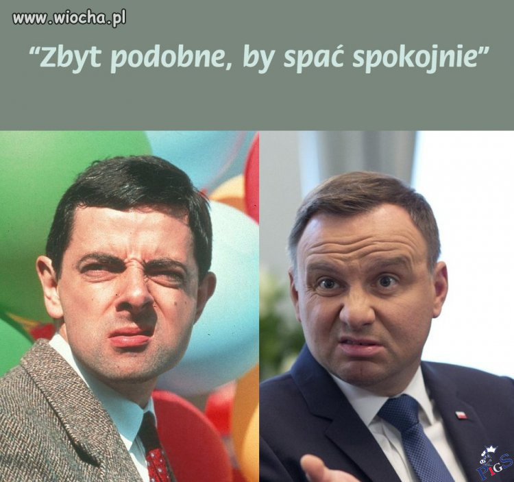 Zbyt podobne