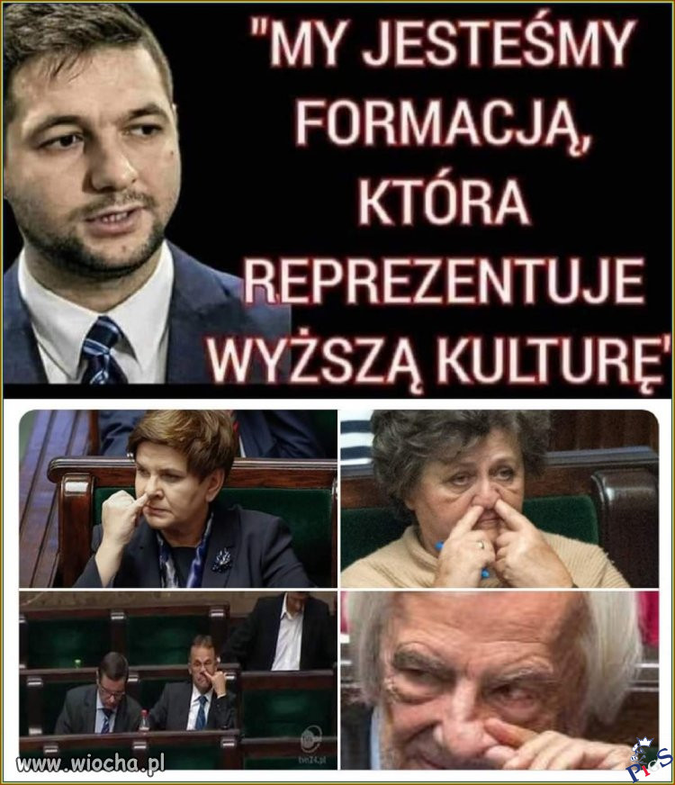chyba kólturę