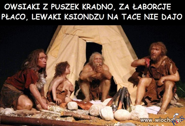 Co typowy wyborca PiS myśli o WOŚP