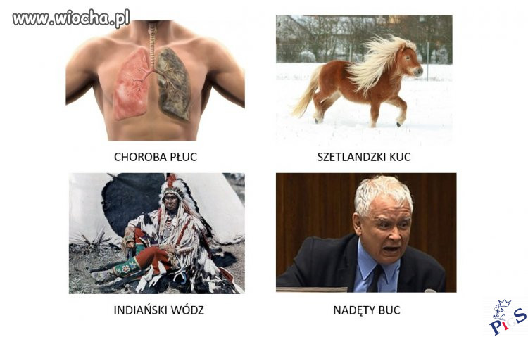 Siekiera, motyka…
