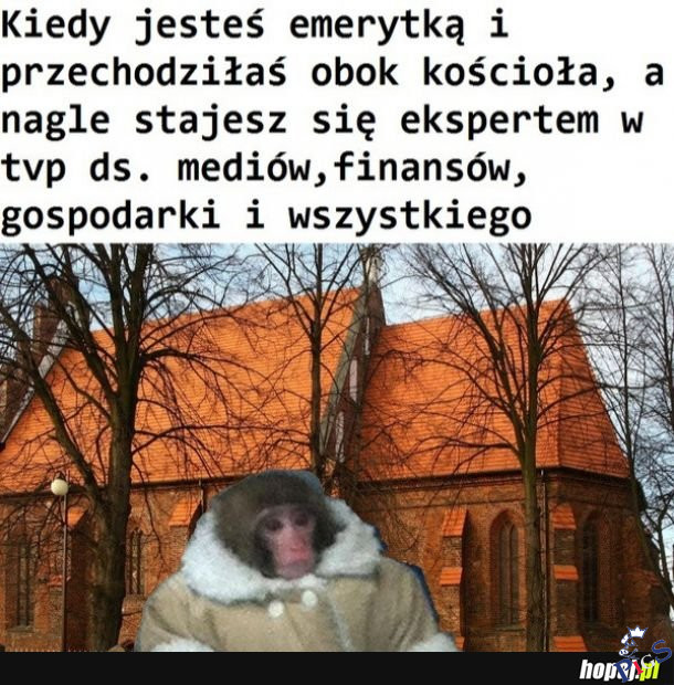 Skąd się biorą eksperci TVP
