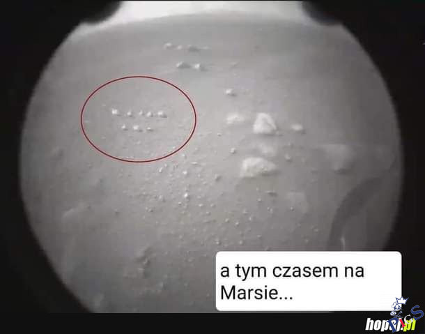 Tymczasem na Marsie