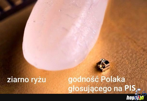 godność Polaka