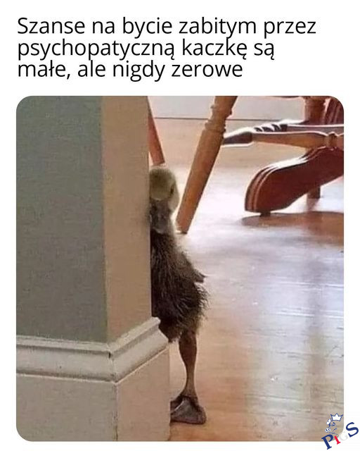Chyba, ze mieszkasz w Kaczogrodzie