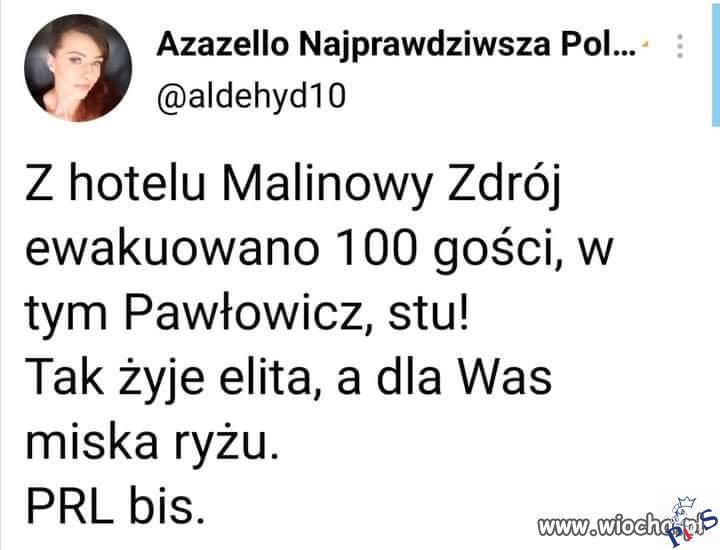 Elita się bawi