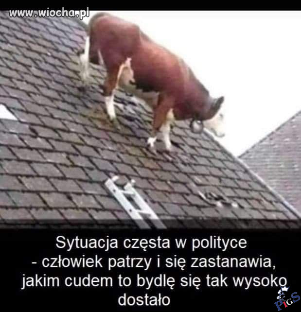 Jakim cudem