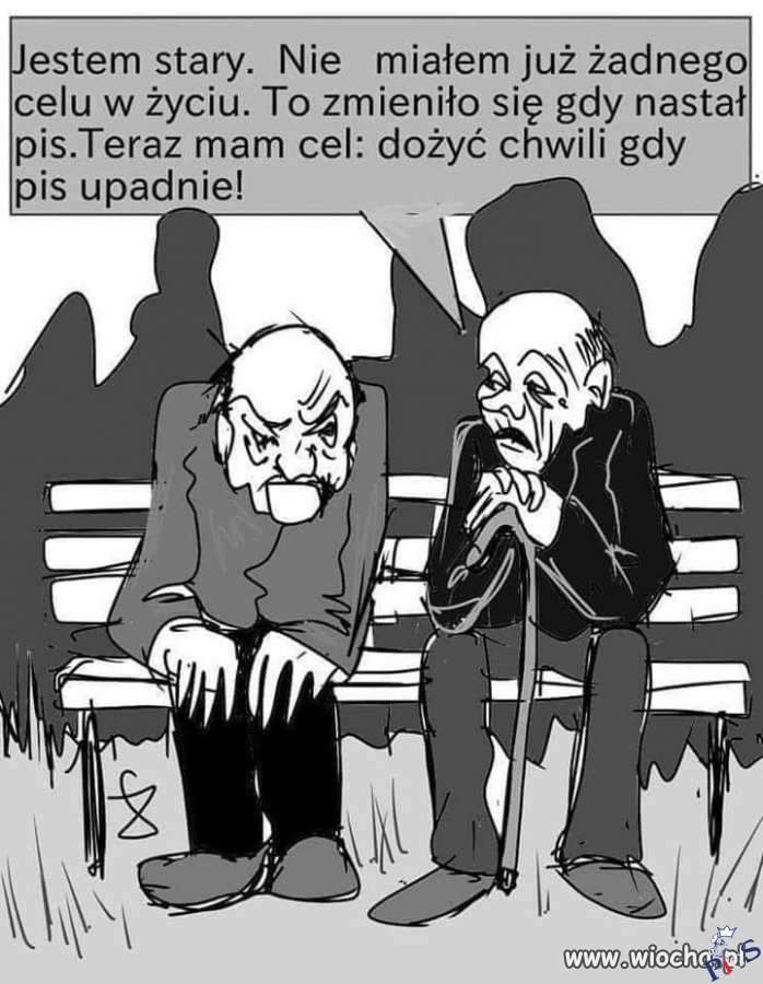 Jednak są w tym wszystkim jakieś pozytywy