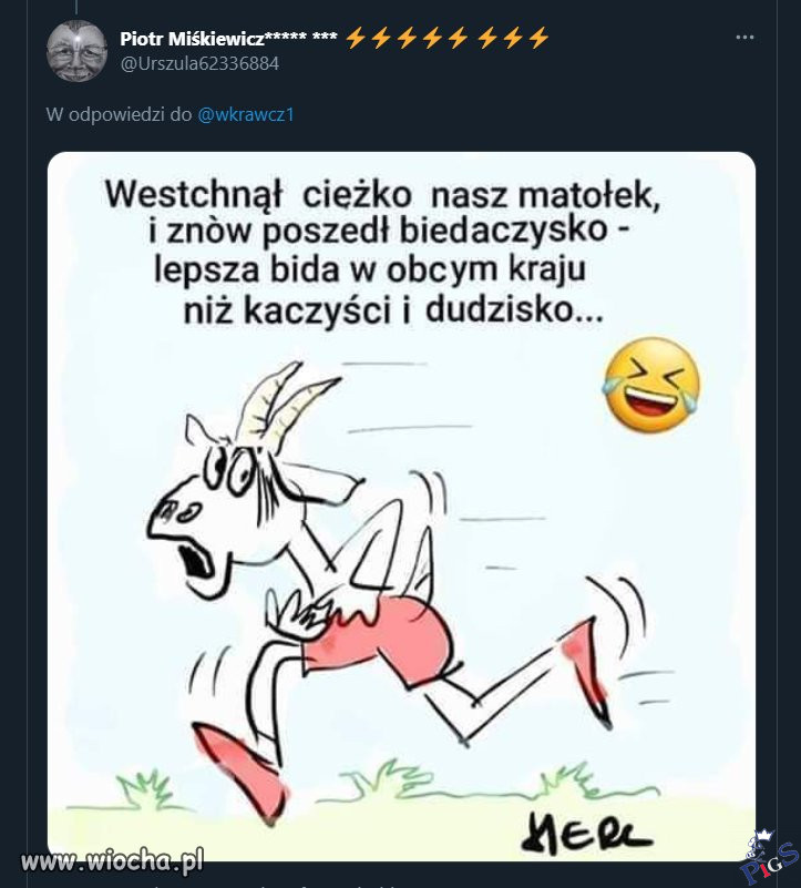 Lepsza bida niż dudzisko