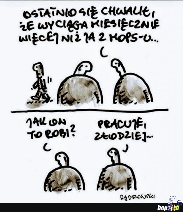 Logika niektórzych wyborców PiS
