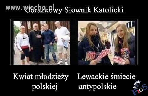 Obrazkowy słownik PiSowski