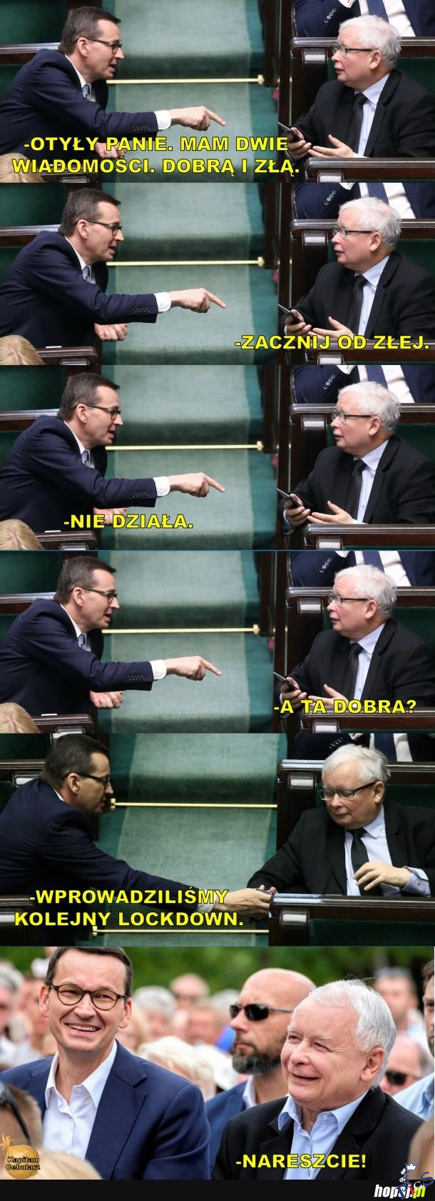 Otyły panie