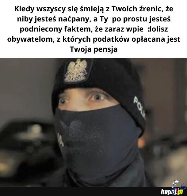 Po co my ich utrzymujemy?