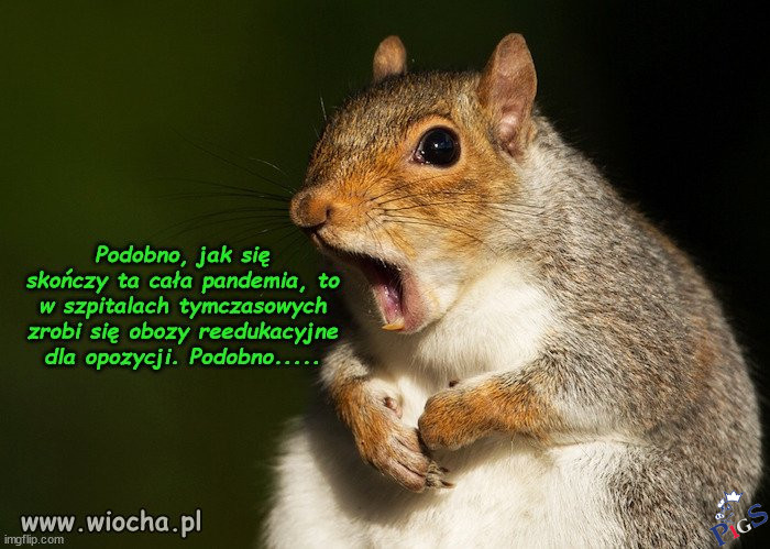Podobno