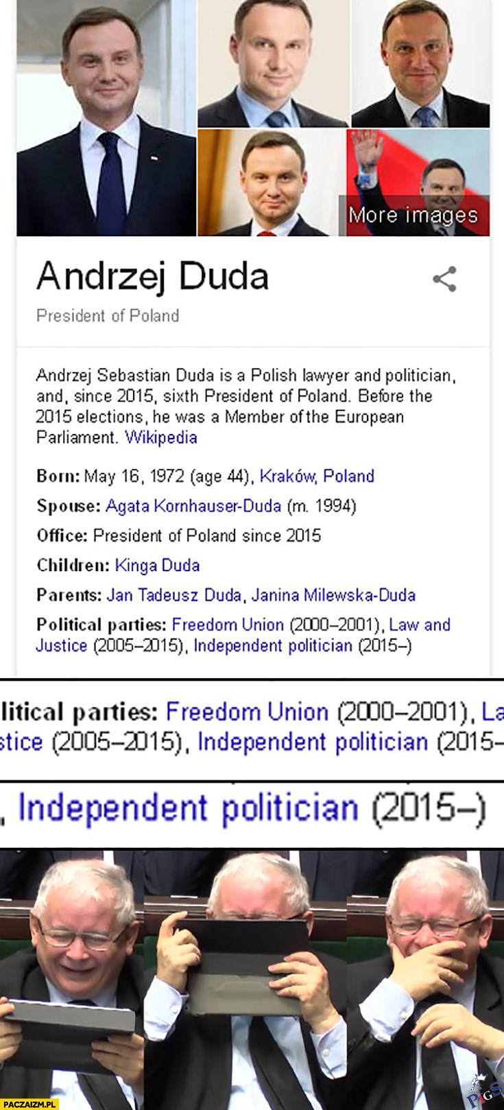 Polityk niezależny