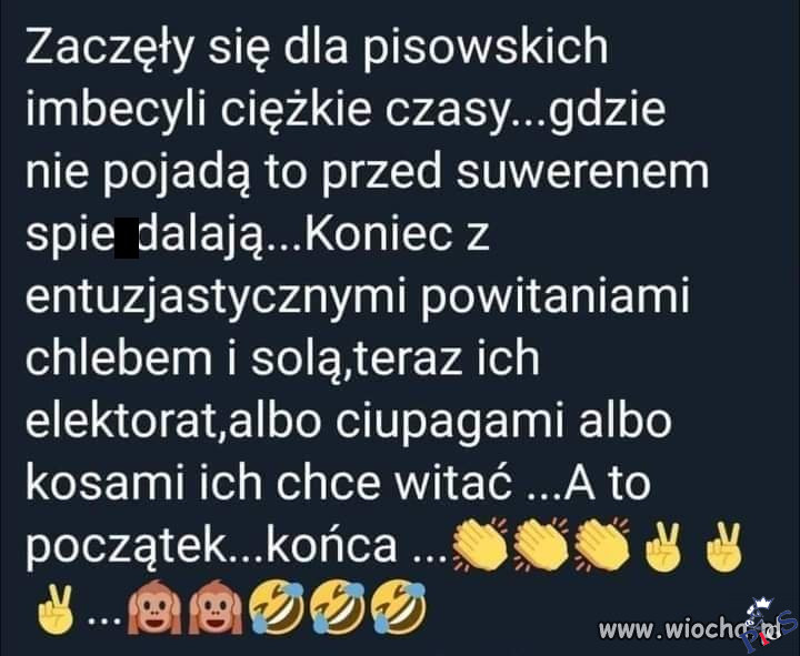 Suweren się obudził?