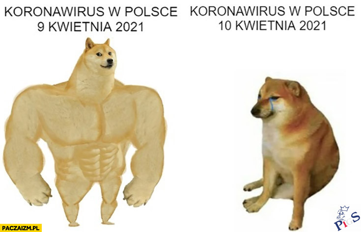Tak będzie wprost na rocznicę