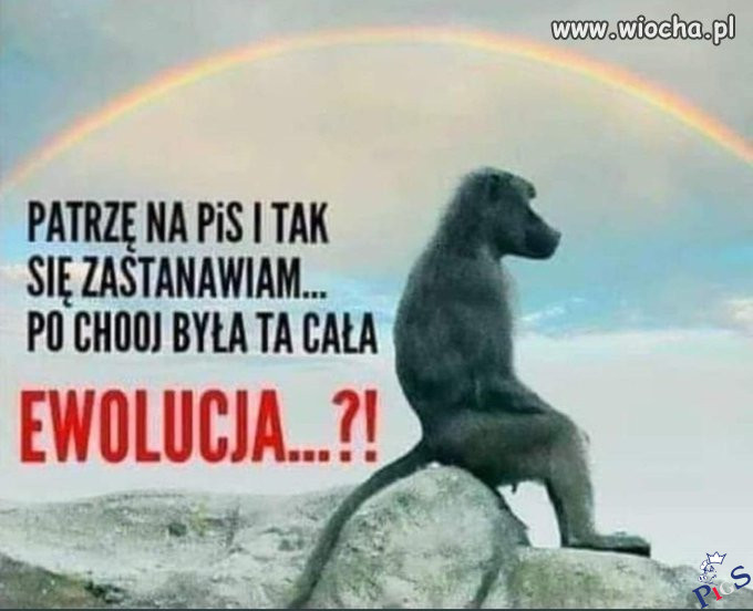 Wracamy do korzeni