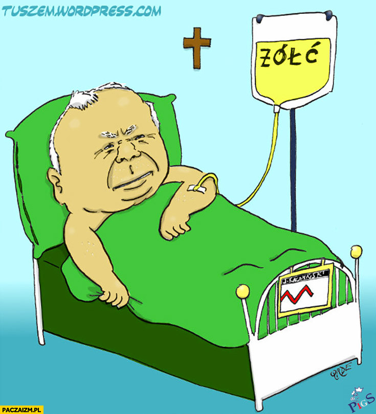 Zółć