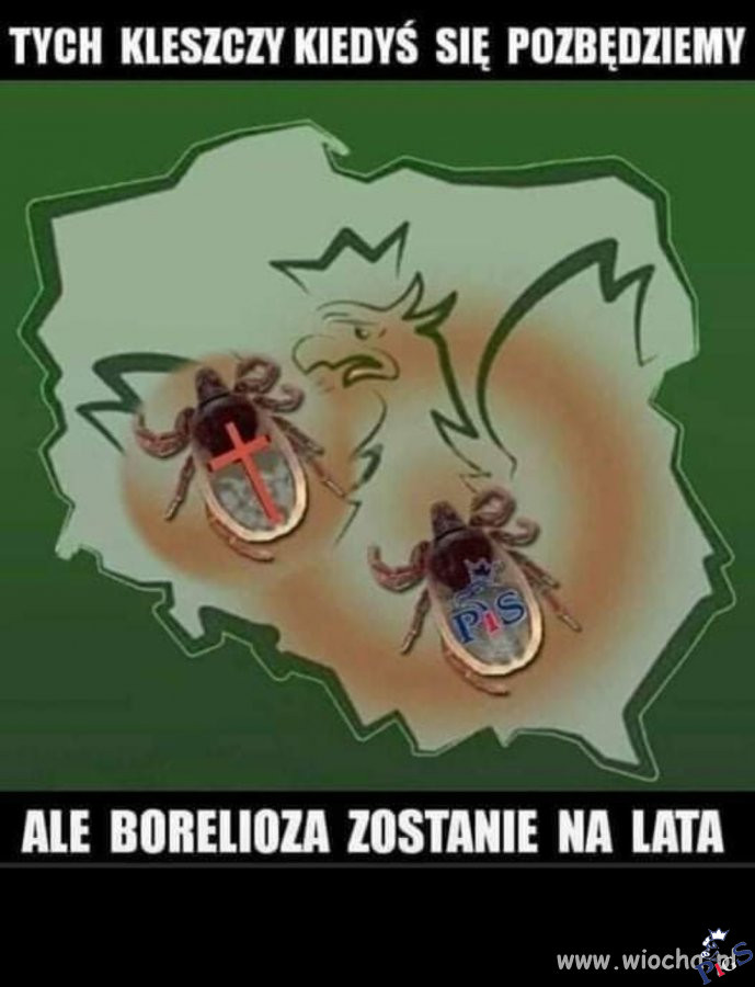 Borelioza zostanie