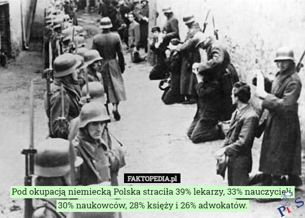 Ja się pytam, dlaczego tych księży padło tylko 28%?