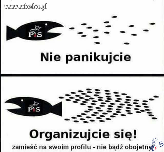Jak wygrać z władzą