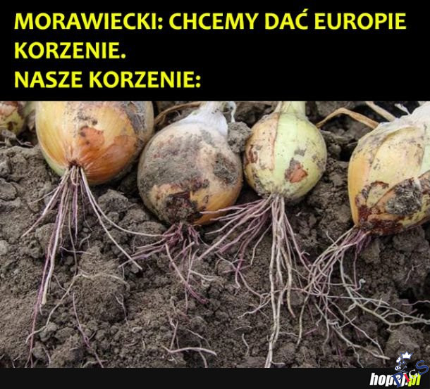 Morawiecki chce dać Europie korzenie