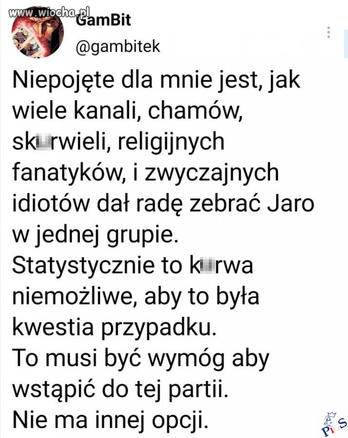 Partia idiotów i szumowin