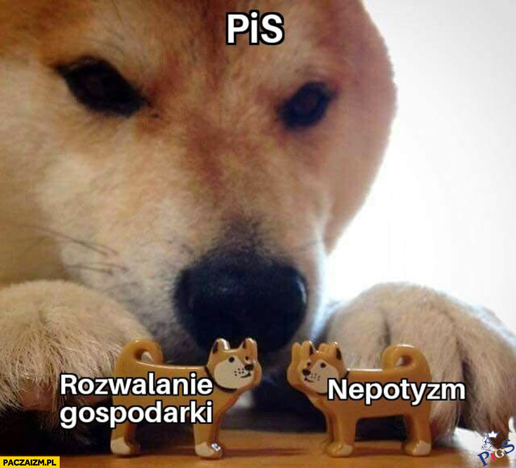 PiS nepotyzm