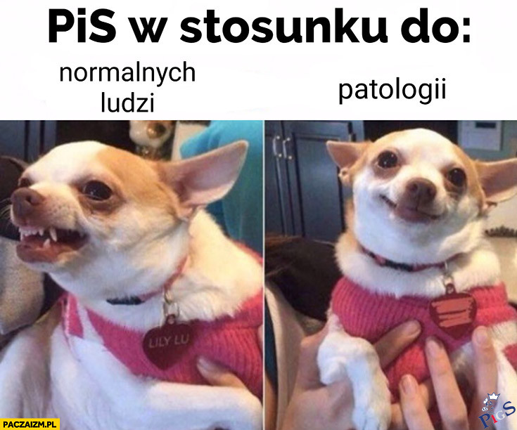 PiS w stosunku do