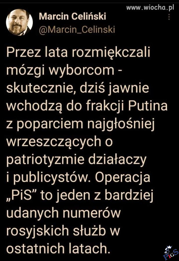 Rozmieńkczone mózgi