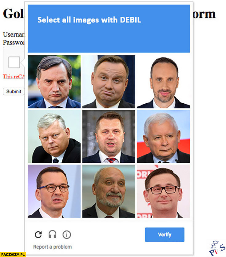 Trudna ta reCaptcha