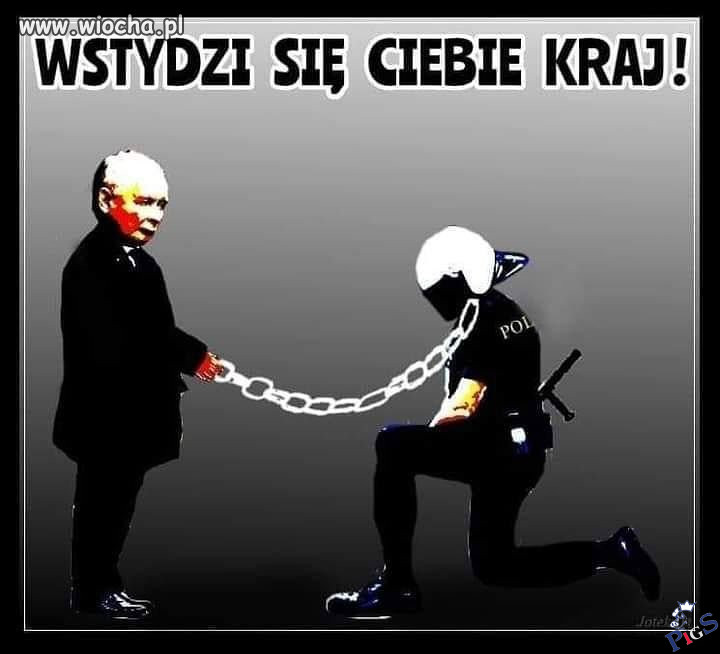 Wstydzi się za ciebie kraj