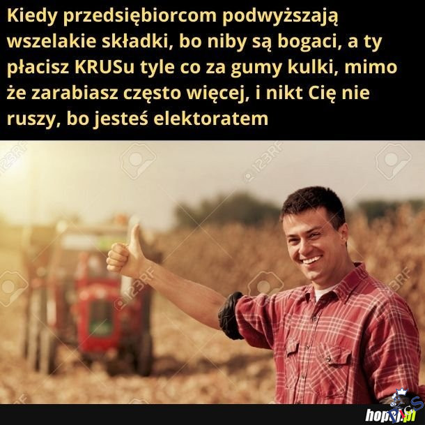 Dlaczego nikt ich nie rusza?