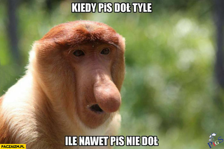 Janusz na wieść o Nowym Ładzie