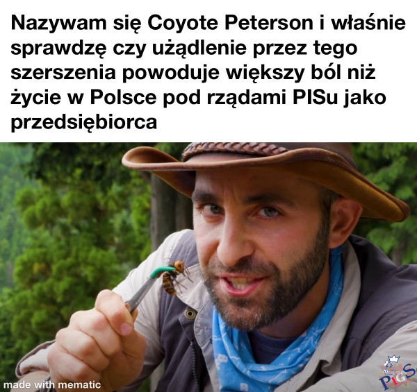 Przedsiębiorca jak szerszeń