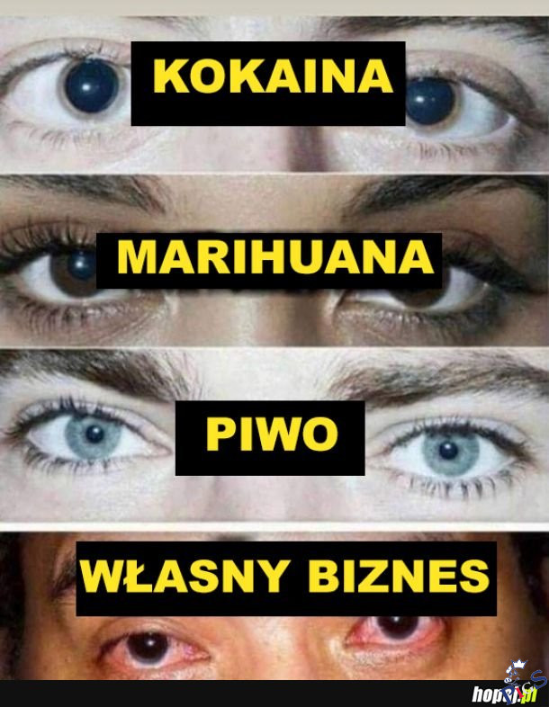 Własny biznes w Polsce