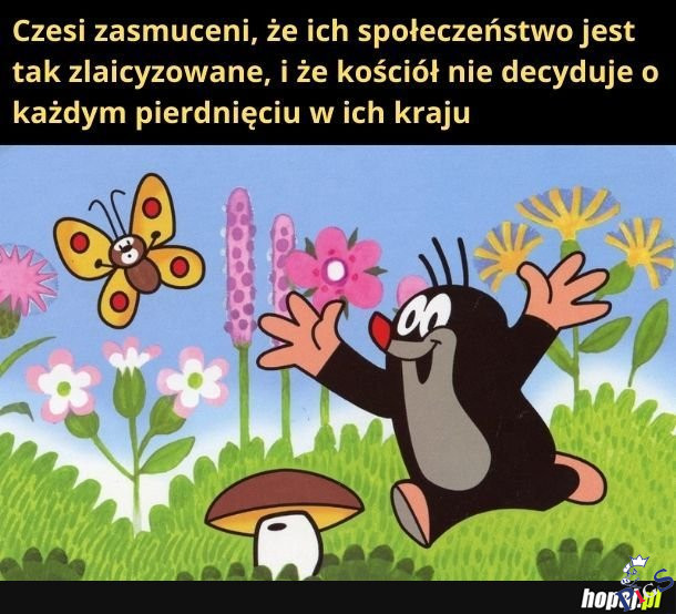 Zasmuceni Czesi
