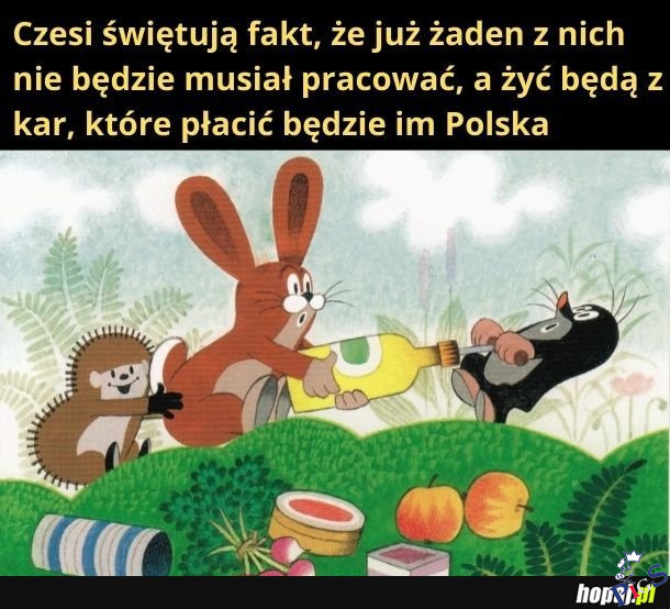 Czesi świętują fakt