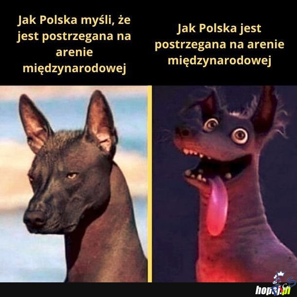 Jak Polska postrzegana jest na arenie międzynarodowej