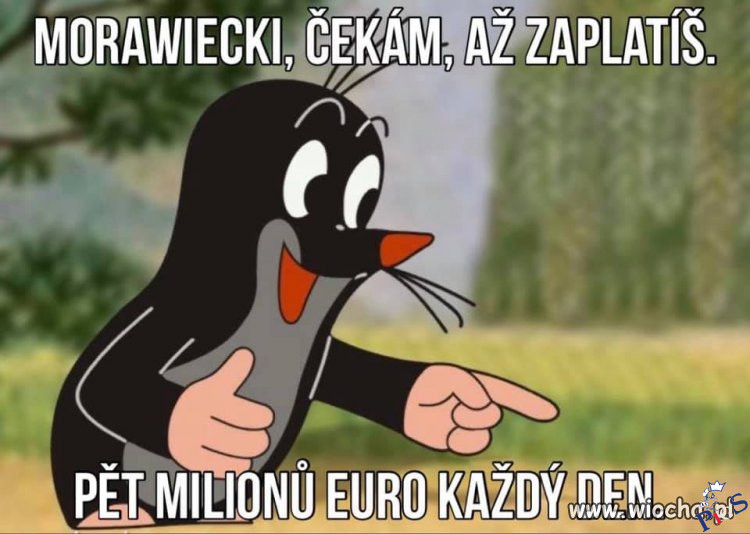 Krecik czeka
