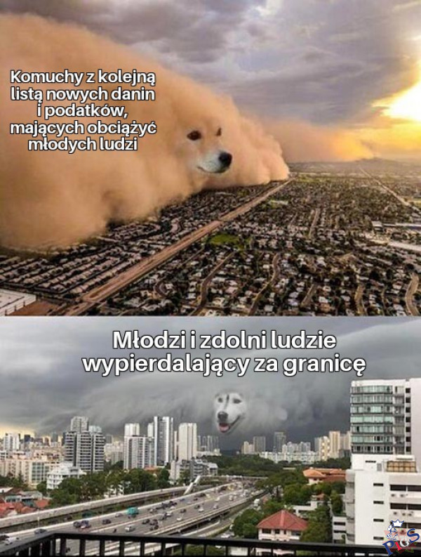 PiSowski socjalizm