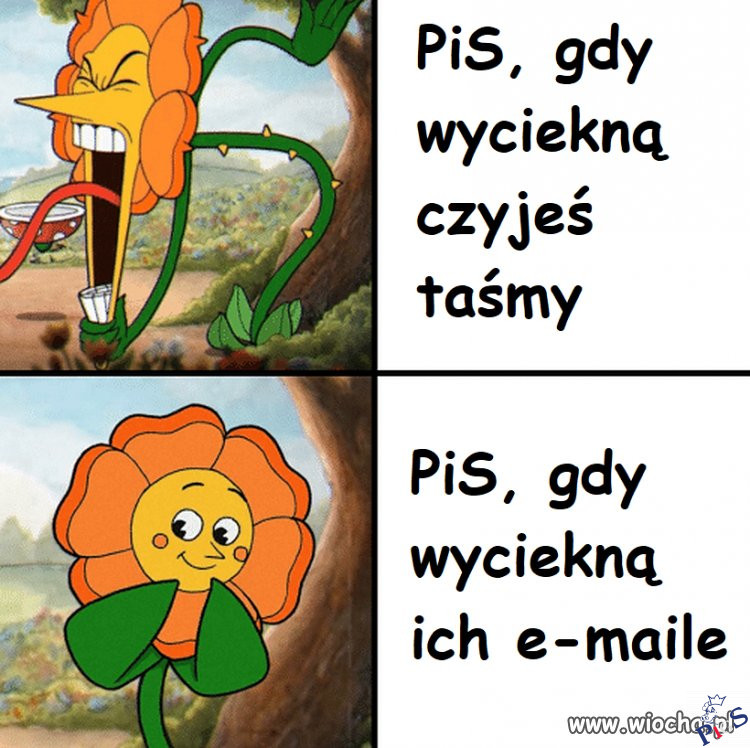 Podwójne standardy