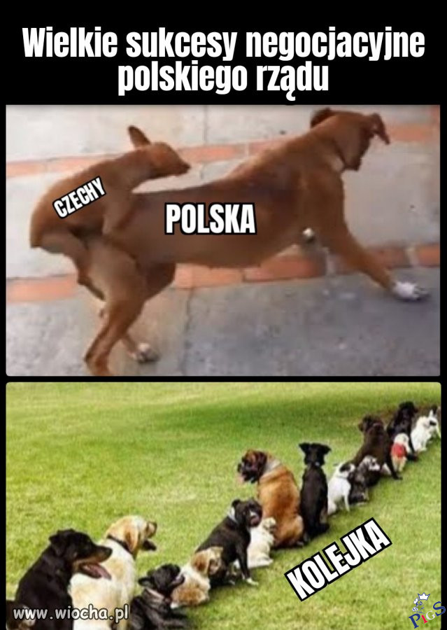 Sukcesy polskiego rządu